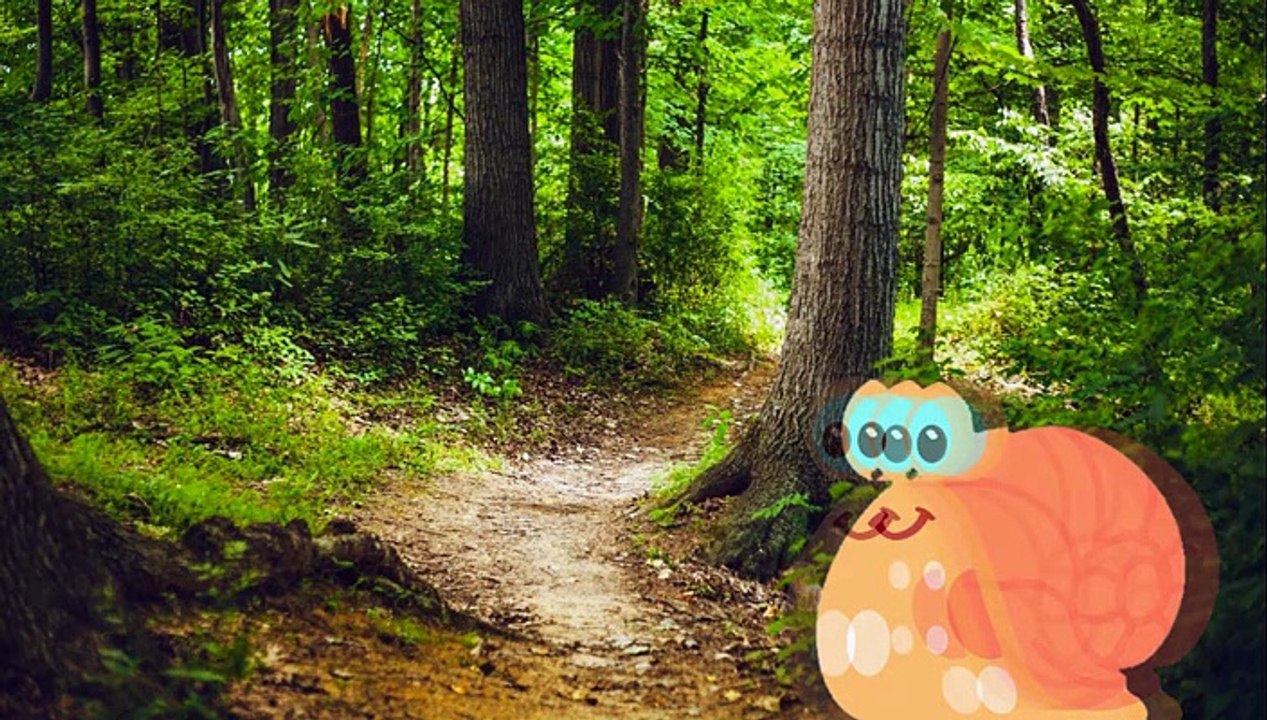 Die Schnecke - Gedicht eines Unbekannten