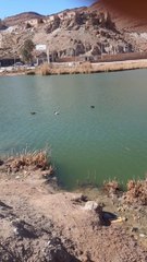 اكتشف واحة Oasis حمام معدني في قلب الصحراء الجزائرية 🌵