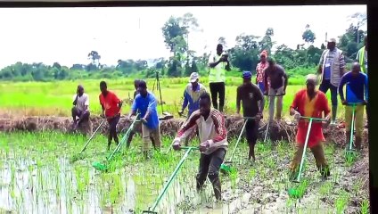 Le président du Gabon visite le CNRA et la centrale thermique d'Azito
