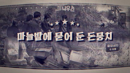 [좋은·나쁜·이상한 늬우스] 마늘밭에 묻어 둔 돈뭉치 / YTN