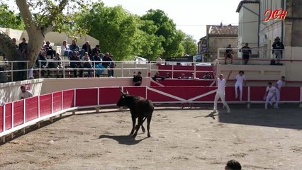 Ligue à Fourques 5 Avril 2024