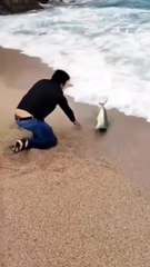 Le plus gros #poisson ne le devient qu'en ne se faisant jamais attraper. À bon entendeur !