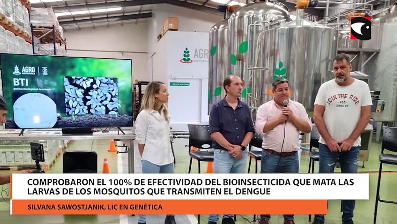 Comprobaron el 100% de efectividad del bioinsecticida que mata las larvas de los mosquitos que transmiten el dengue