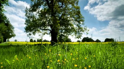 Hino CCB ( Oh Senhor Da Glória )