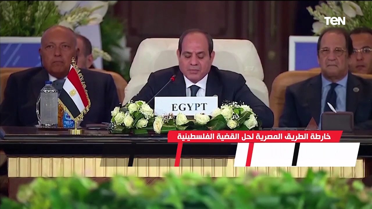منها ضمان التدفق الدائم للمساعدات.. خارطة الطريق المصرية لحل القضية الفلسطينية