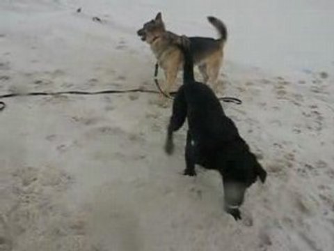 MVI_4219 Porto Appolon