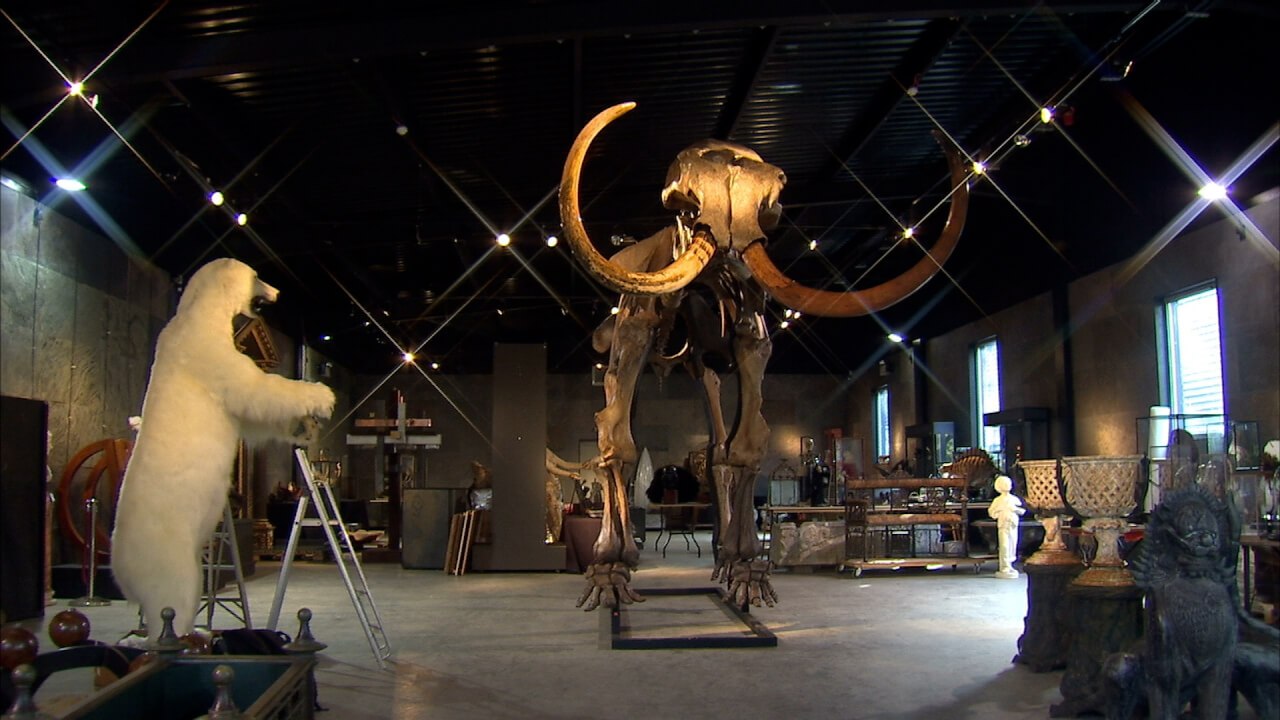 Scientists are trying to bring back the woolly mammoth. Here’s how the business model actually works