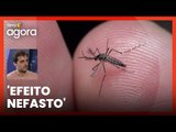 Mentiras sobre a dengue são desdobramentos da campanha de fake news da covid, diz editor do Comprova