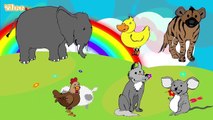 Canzone degli animali Sounds of the Animals Canzone per bambini Yleekids