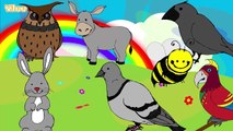 Canciones de los animales Canciones infantiles en español Yleekids