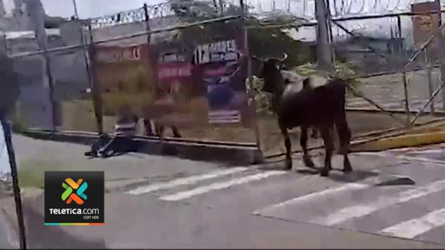 pase cristian-toro-110424