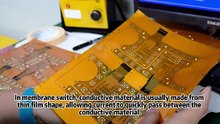How fast does the membrane switch respond