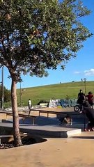 Kurnell's skateboarding dog Giotto