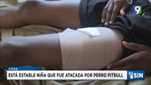 Niña herida tras ataque de perro pitbull se encuentra estable | Emisión Estelar SIN con Alicia Ortega