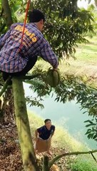 Try Not to Laugh Compilation day 1 2024