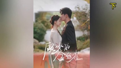 36- 精彩短剧《顾少的金丝雀》下集，每日精彩更新🎬