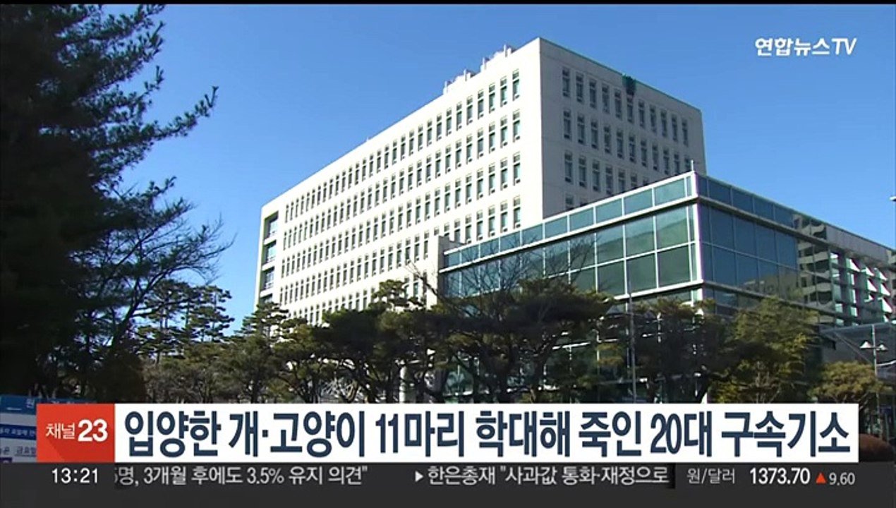 입양한 개·고양이 11마리 학대해 죽인 20대 구속기소