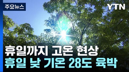 [날씨] 맑고 따뜻, 휴일까지 고온현상...산불 비상 / YTN