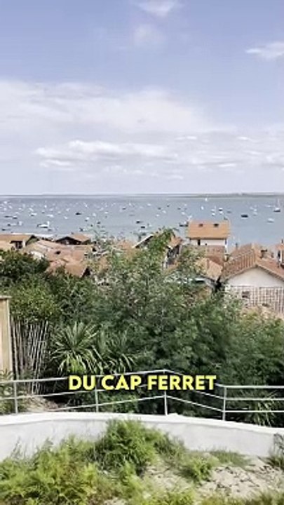 Le meilleur endroit au monde pour manger des huitres ?