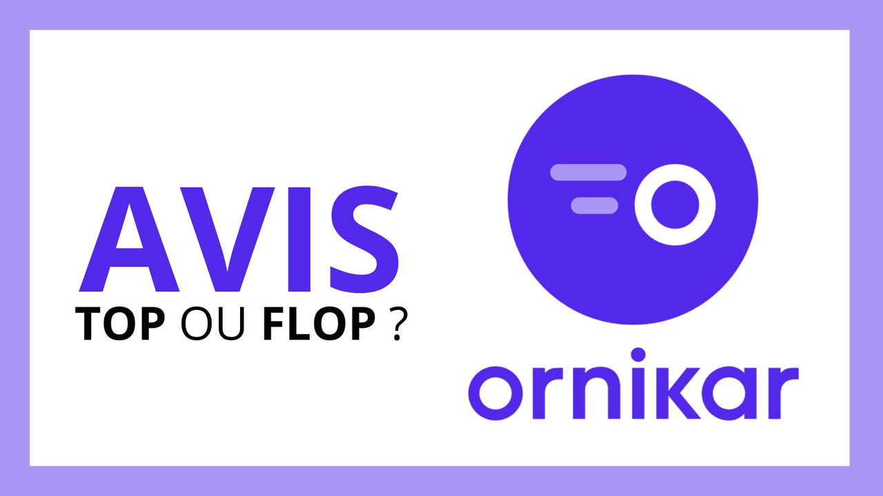 ORNIKAR : AVIS EN 2024 (Mieux que En Voiture Simone ? Permis, Code de la route, Code, Conduite...)