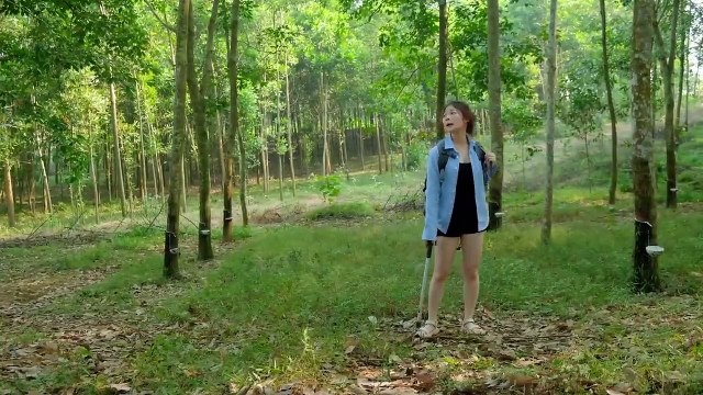 Build a shelter, solo camping, cabin in the woods, Bushcraft