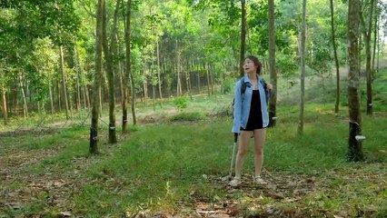 Build a shelter, solo camping, cabin in the woods, Bushcraft