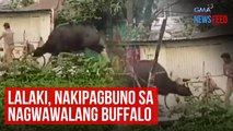 Lalaki, nakipagbuno sa nagwawalang buffalo | GMA Integrated Newsfeed