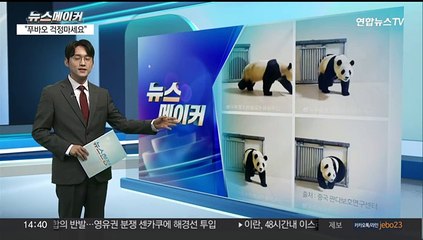 [뉴스메이커] 강철원 "푸바오 걱정 마세요"…中사육사 손잡고 당근 '먹방'도