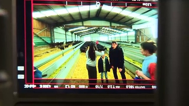 Consumir lácteos españoles, vital para el relevo generacional en el campo y cuidar la salud