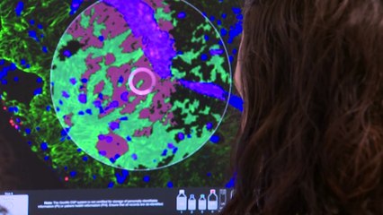 Diagnóstica Longwood, premio Pyme del Año 2023 en Zaragoza