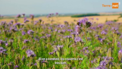 Santé du sol et des plantes : « On travaille encore comme mon père le faisait »