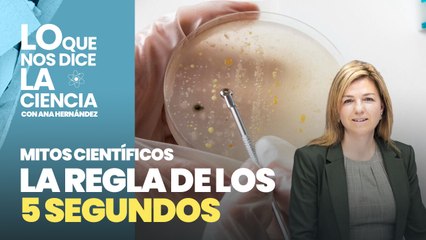 Mitos científicos: La regla de los 5 segundos es falsa