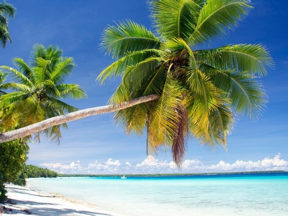 'Geniale Aktion': Schiffbrüchige durch besonderen Hilferuf gerettet