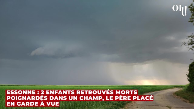 Essonne : 2 enfants retrouvés morts poignardés dans un champ, le père placé en garde à vue