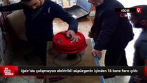 Iğdır'da çalışmayan elektrikli süpürgenin içinden 15 tane fare çıktı