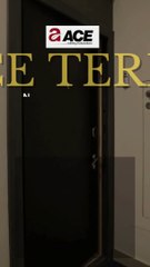 Ace Terra - Exciting Investment Opportunity Alert!