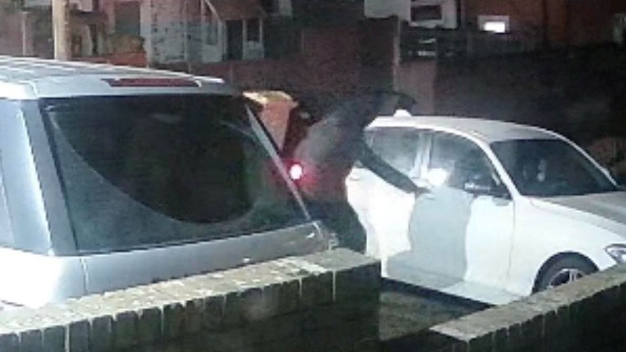 Mutter wehrt maskierte Männer ab, die mit ihrem Sohn im Auto versuchen, das Auto zu entführen