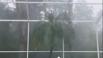 Video shows strong winds and rain in Spring Hill, Florida