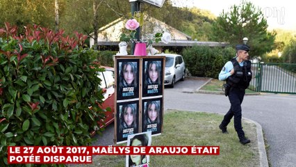 Affaire Nordahl Lelandais : le père de Maëlys méconnaissable après le meurtre de sa fille