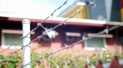 Making a Serial Killer S01E04 Donna Perry