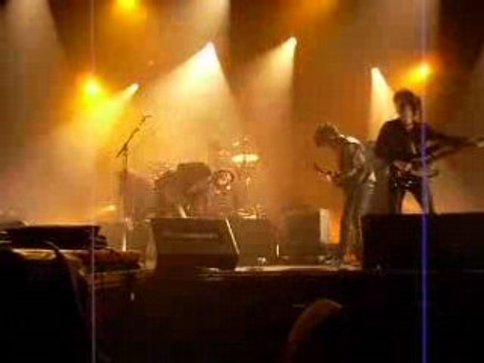 BB Brunes à Morlaix