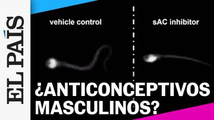 Anticonceptivos masculinos | Programa ¿Y ahora qué?