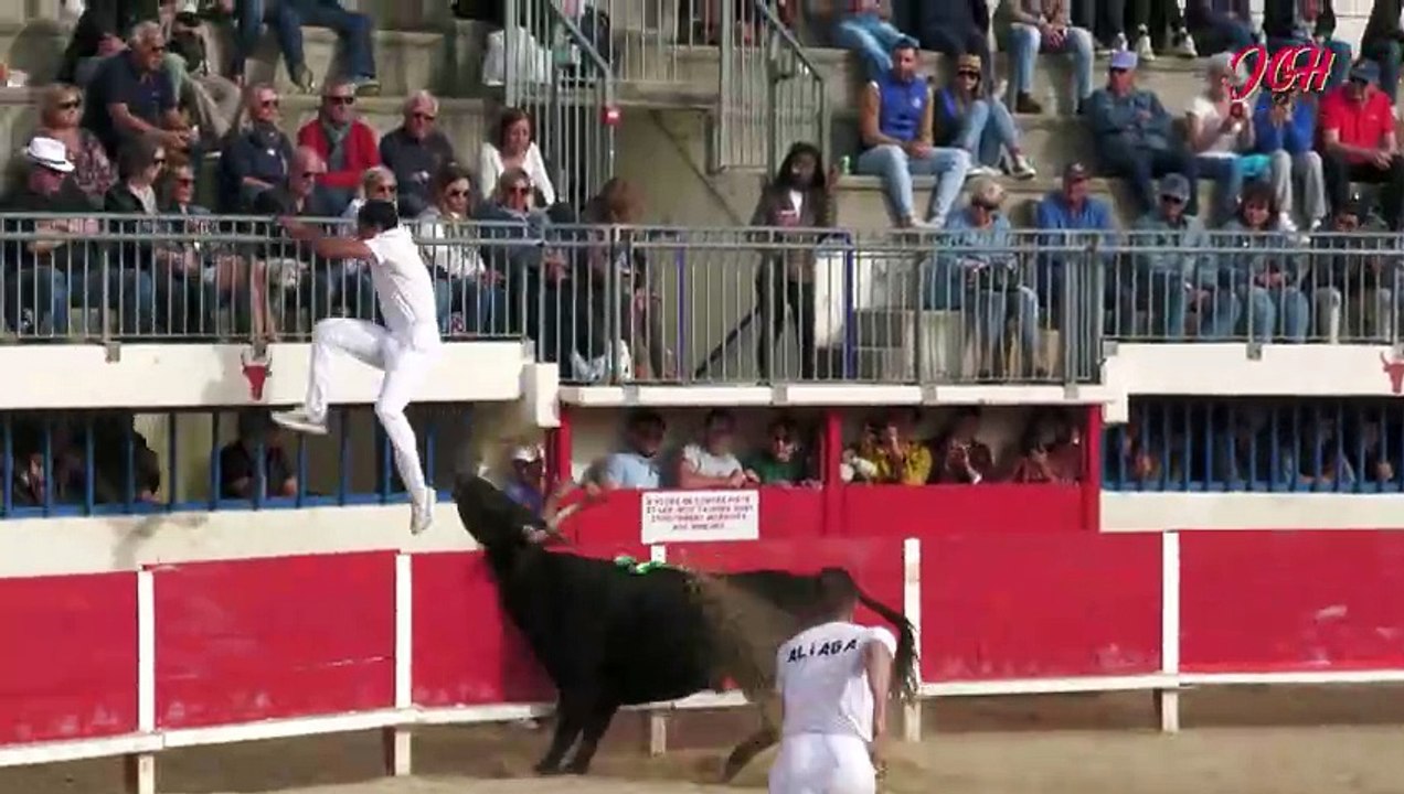 JOACHIM CADENAS ET CRAULEN MANADE CHAUVET