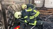 WATCH: Ukrainian firefighters rescue five puppies