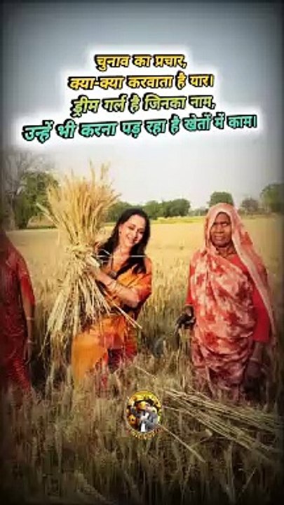 ड्रीम गर्ल खेत में   #shorts #shortsfeed #hemamalini #dreamgirl #trending