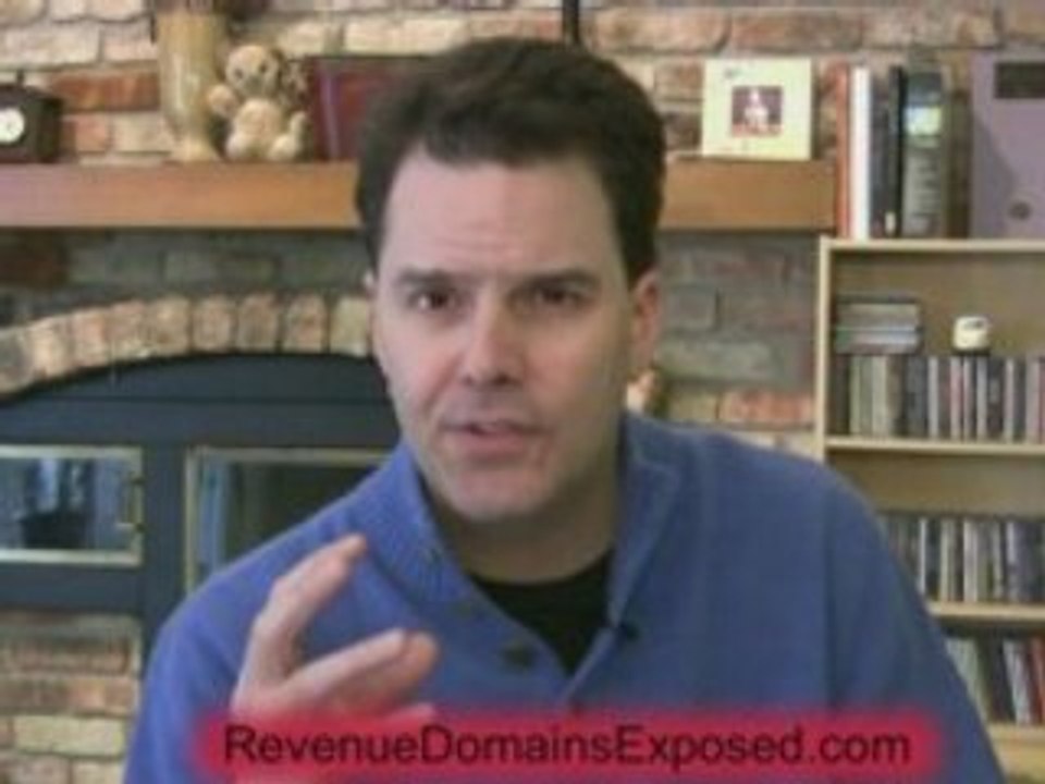 Ebook Domainer Expired Domains & Cash