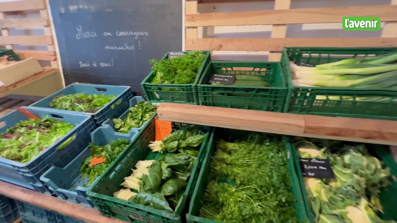 Reprise de l'activité au potager du château de Wasseiges