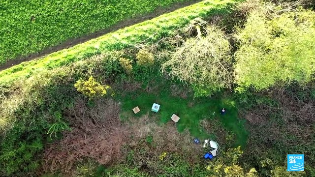 Un apiculteur invente un piège à frelons asiatiques unique au monde