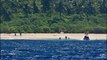 Náufragos são resgatados ao escreverem 'SOCORRO' em praia de ilha remota
