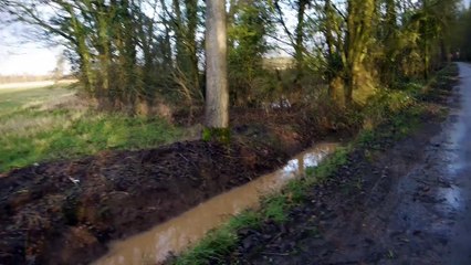 Sugar beet Problems - Part 2 - Episode 1